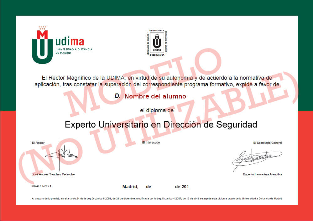 Director de Seguridad